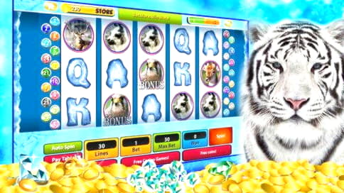 $595 besplatni žetoni u Omni Slots Casinu